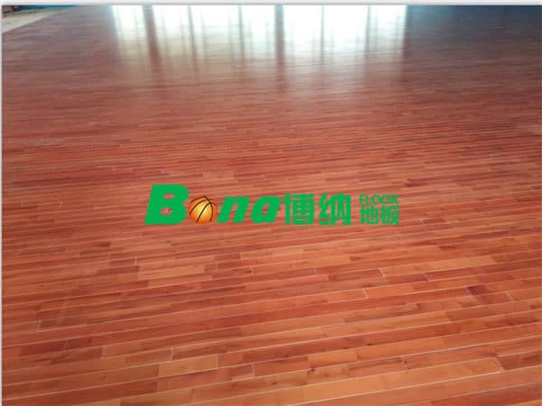 廣東臺(tái)山市郎城汽車城案例