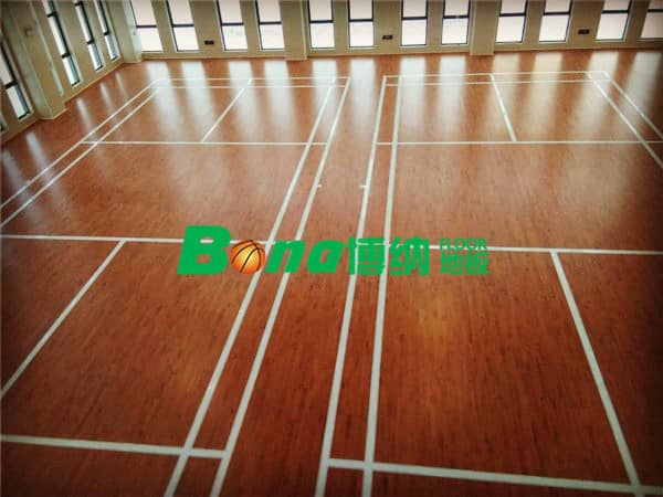 安徽滁州來安縣公安局體育中心案例