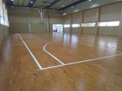 廣西南寧小學(xué)體育館工程案例