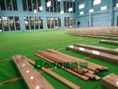 體育館 多用楓樺木運動地板